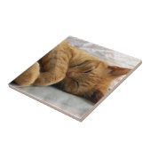 Sweet Dreams Tegeltje (Zijkant)