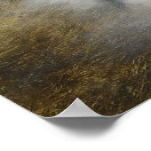 Sweet Dreams van een Britse Korthaar Poster (Hoek)