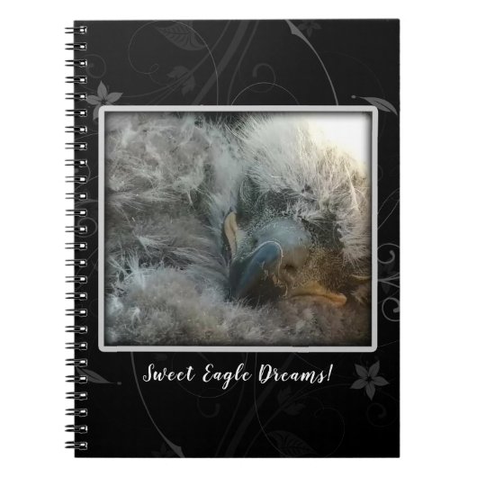 Sweet Eagle Dreams Notitieboek (Voorkant)