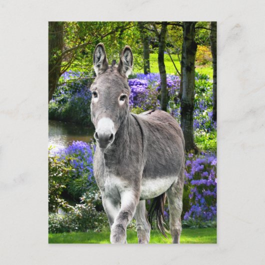 "Sweet Easter" Briefkaart (Voorkant)