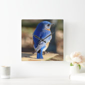 Sweet Eastern Bluebird Vierkante Klok (Huis)