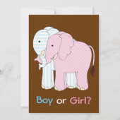 Sweet Elephants Baby Gender Rekalmeerpartij Kaart (Achterkant)