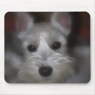 Sweet Face White Schnauzer Puppy Muismat