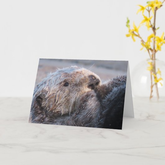 Sweet Face Zee Otter Kaart (Gele Bloem)