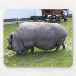 Sweet Fat Piggy | Boerderij Muismat