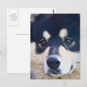 Sweet Fins Briefkaart Lapphund (Voorkant / Achterkant)