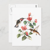Sweet  Floral Hummingbird Paar Briefkaart (Voorkant / Achterkant)