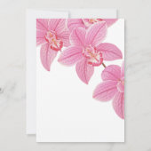 Sweet Floral Pink Orchid 16e verjaardag Kaart (Achterkant)