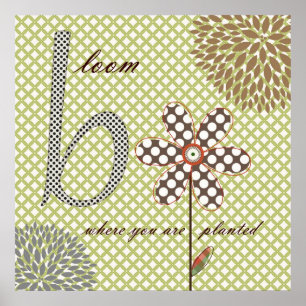 Sweet Flower Blossom Poster