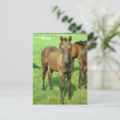 Sweet Foal Briefkaart (Staand voorkant)