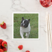 Sweet French Bulldog Servetten (Insitu)