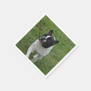 Sweet French Bulldog Servetten