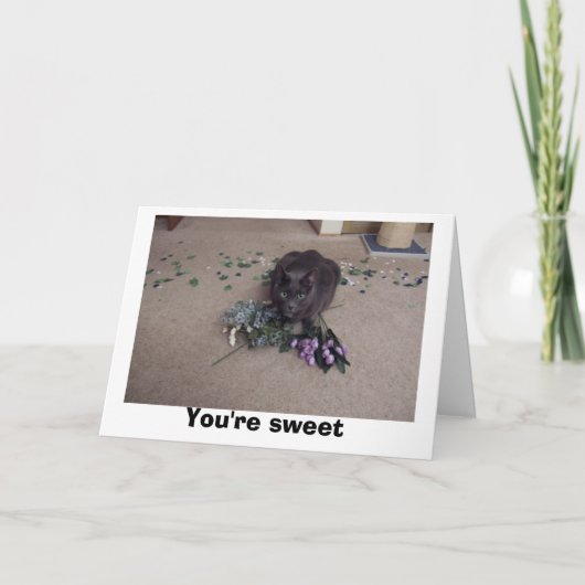 Sweet Friend Bedankkaart (Voorkant)