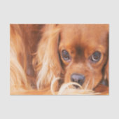 Sweet Friend Cavalier King Charles Tissuepapier (Voorkant)