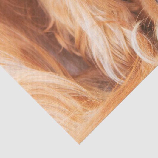 Sweet Friend Cavalier King Charles Tissuepapier (Detail)