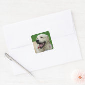 Sweet Friendly Labrador Vierkante Sticker (Envelop)