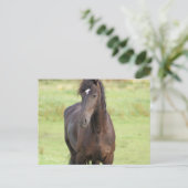 Sweet Friesian Horse Briefkaart (Staand voorkant)
