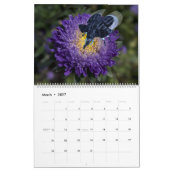 Sweet Funny Elephant Crossbreeds 2023 Kalender (Mar 2027)