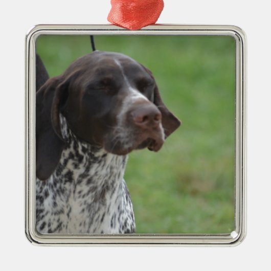 Sweet German Shorthaired Pointer Metalen Ornament (Voorkant)