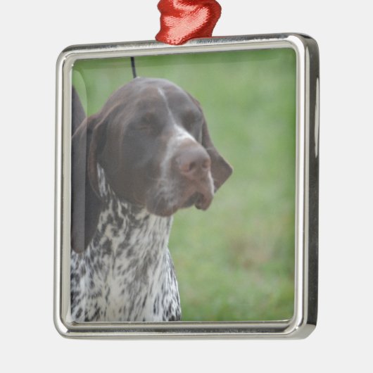 Sweet German Shorthaired Pointer Metalen Ornament (Links)