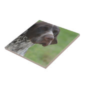 Sweet German Shorthaired Pointer Tegeltje (Zijkant)