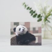 Sweet Giant Panda Baby Briefkaart (Staand voorkant)
