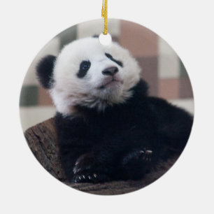 Sweet Giant Panda Baby Keramisch Ornament