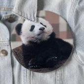 Sweet Giant Panda Baby Ronde Button 6,0 Cm (In situ)