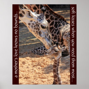 Sweet giraffen; de liefde van een moeder kent geen poster