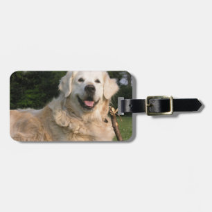 Sweet Golden Retriever Bagagelabel
