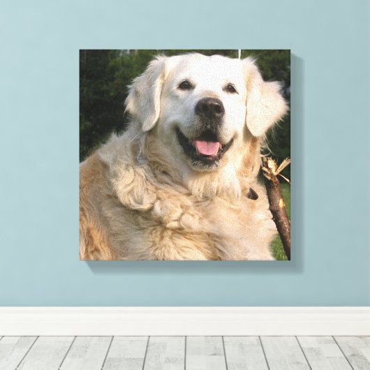 Sweet Golden Retriever Canvas Print (Insitu (Houten vloer))