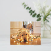 Sweet Golden Retriever in de war Briefkaart (Staand voorkant)