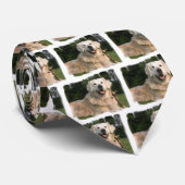 Sweet Golden Retriever Necktie Stropdas (Opgerold)