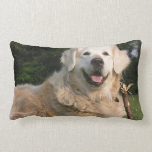 Sweet Golden Retriever Pillow Kussen