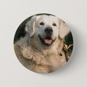 Sweet Golden Retriever Pin Ronde Button 5,7 Cm