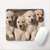 Sweet Golden Retriever Puppies Muismat (Met muis)