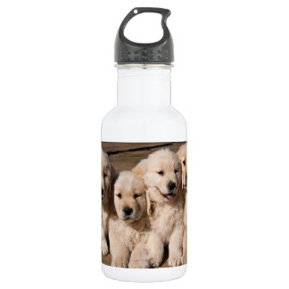 Sweet Golden Retriever Puppies Waterfles