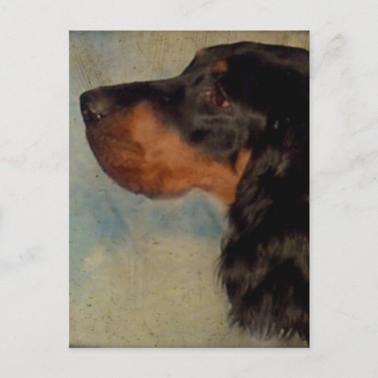 Sweet Gordon Setter Briefkaart (Voorkant)