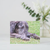 Sweet Great Dane Briefkaart (Staand voorkant)