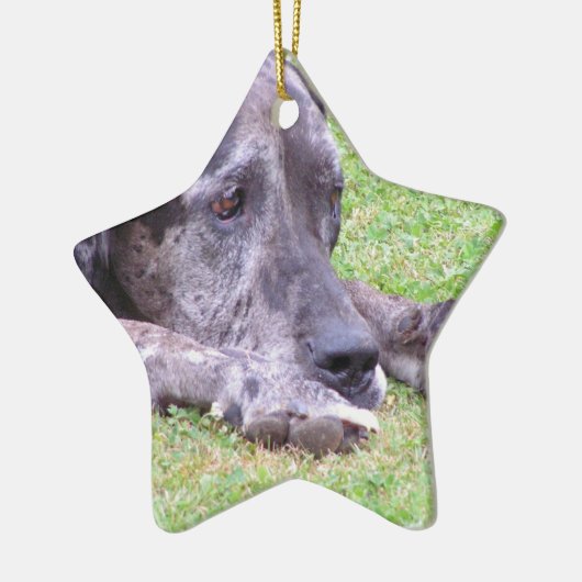 Sweet Great Dane Ornament (Links)