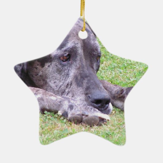 Sweet Great Dane Ornament (Achterkant)