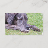 Sweet Great Dane Visitekaartjes (Achterkant)