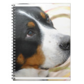 Sweet Greater Swiss Mountain Dog Notitieboek (Voorkant)