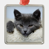 Sweet Grey Cat Face Ornament (Voorkant)