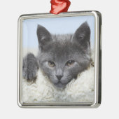 Sweet Grey Cat Face Ornament (Links)
