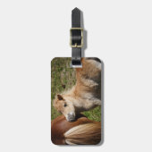 Sweet Haflinger Foal Bagagelabel (Voorkant verticaal)
