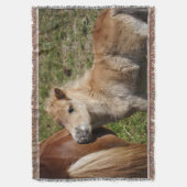Sweet Haflinger Foal Deken (Voorkant Verticaal)