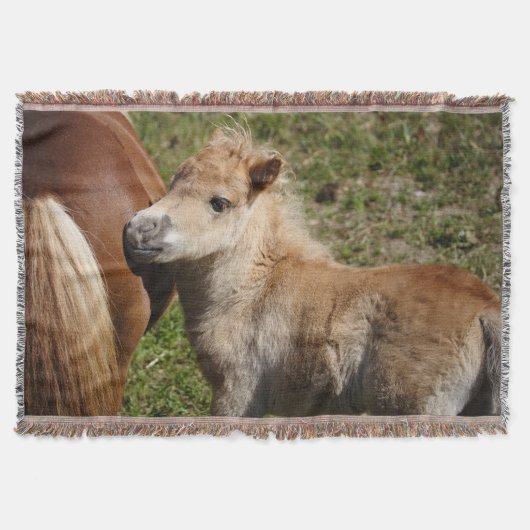 Sweet Haflinger Foal Deken (Voorkant)