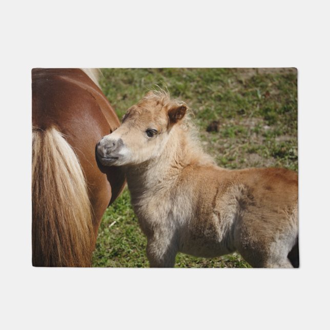 Sweet Haflinger Foal Deurmat (Voorkant)