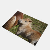 Sweet Haflinger Foal Deurmat (Schuin)